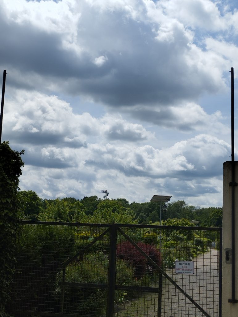 Auwald Leipzig - Wackelturm