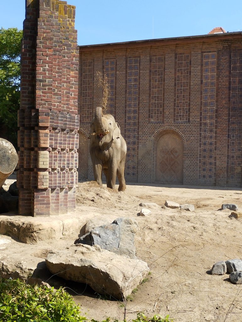 Zoo Leipzig - Tierärztin Dr. Mertens