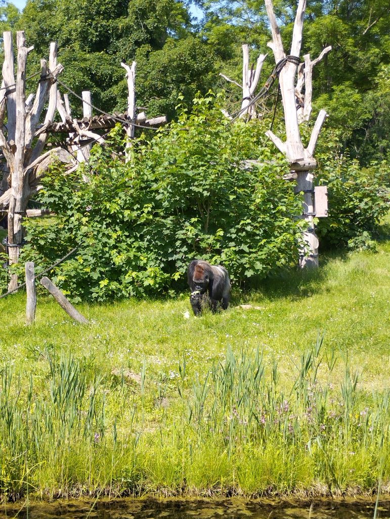 Zoo Leipzig - Tierärztin Dr. Mertens