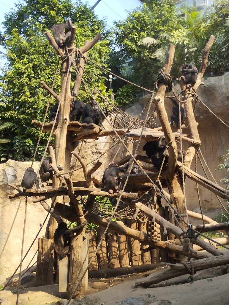 Zoo Leipzig - Tierärztin Dr. Mertens