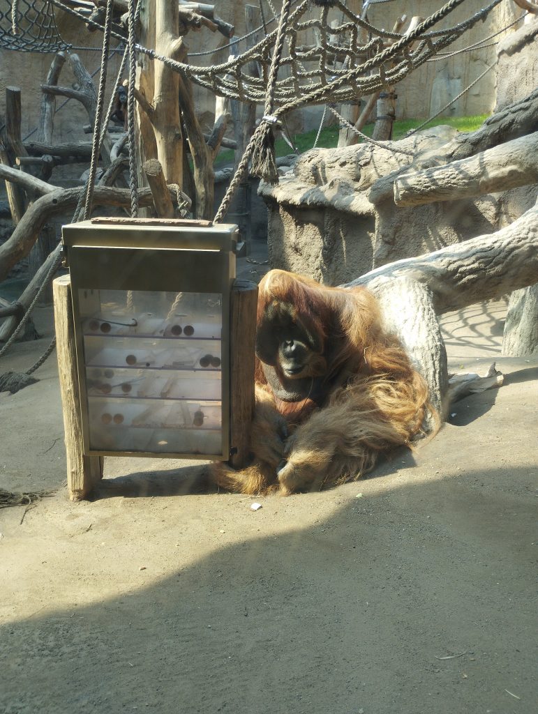 Zoo Leipzig - Tierärztin Dr. Mertens