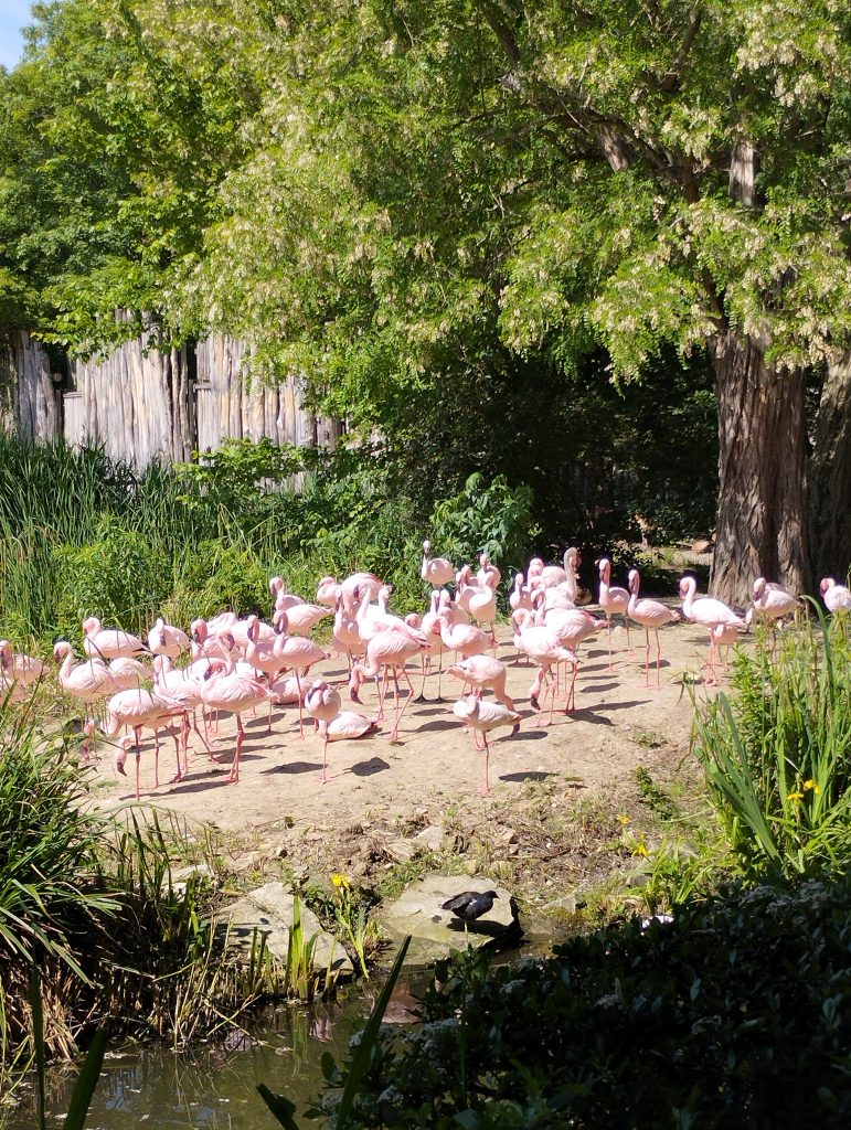 Zoo Leipzig - Tierärztin Dr. Mertens