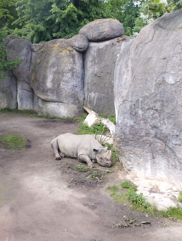 Zoo Leipzig - Tierärztin Dr. Mertens