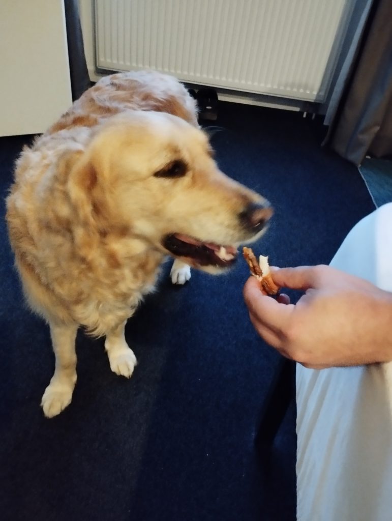 Hallo Döner Leipzig