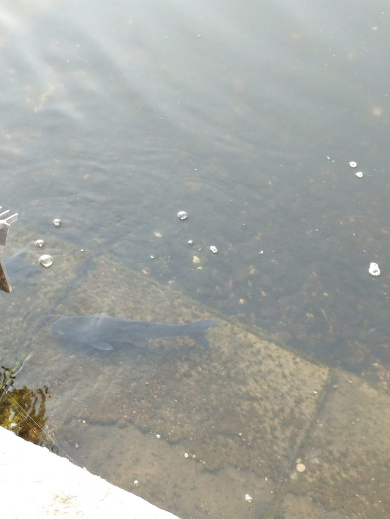 Völkerschlachtdenkmal Leipzig