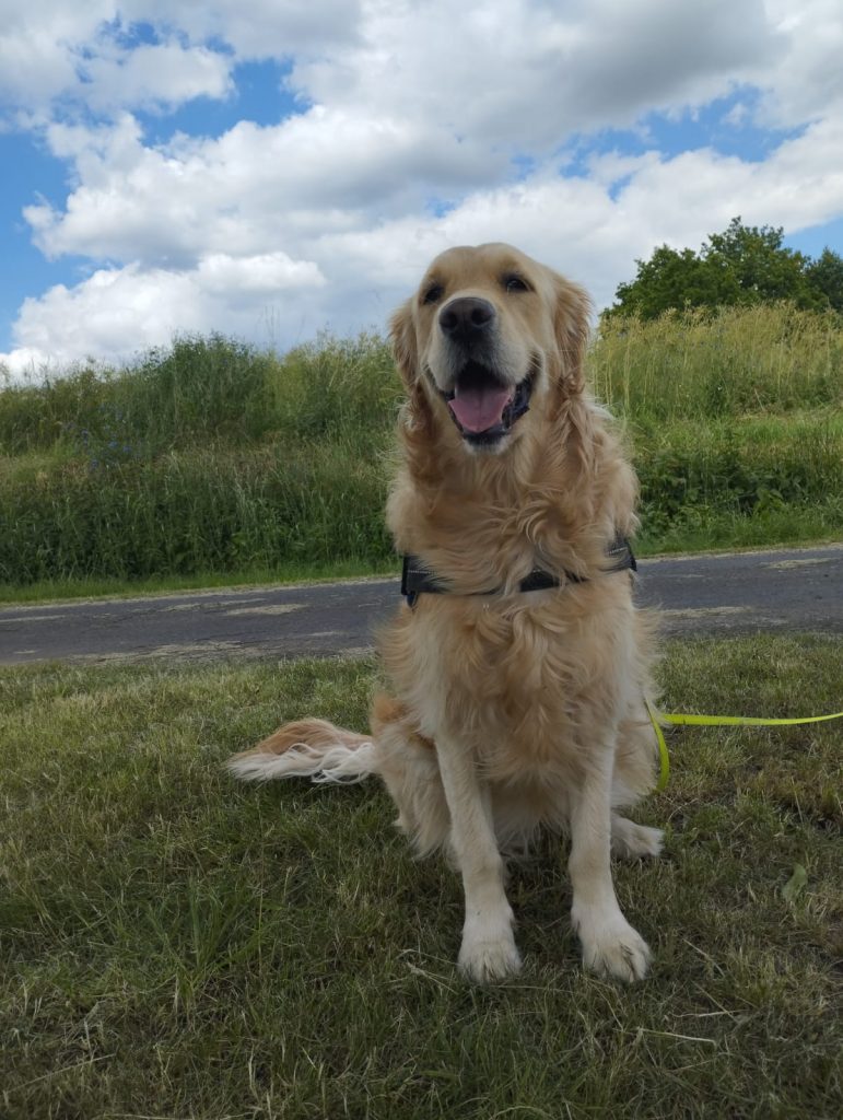 Emma's Pfoten-Abenteuer