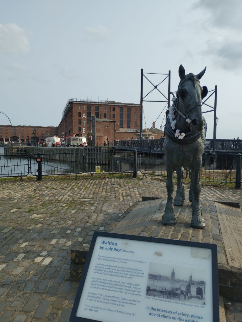 Waiting Monument Pferd Liverpool
