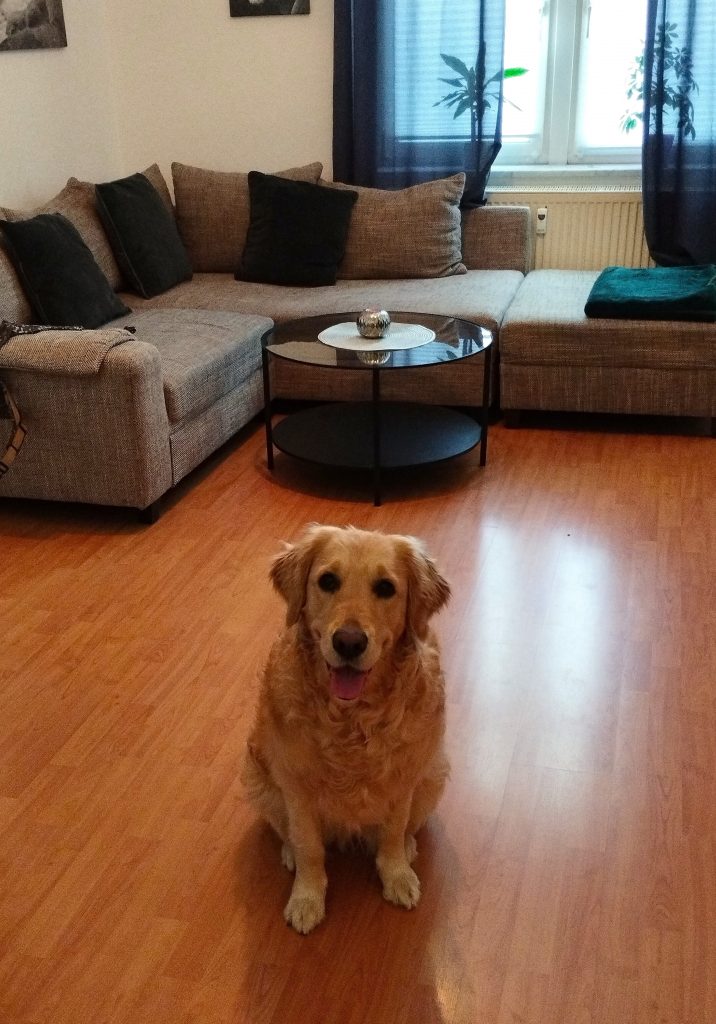 Ferienwohnung Leipzig