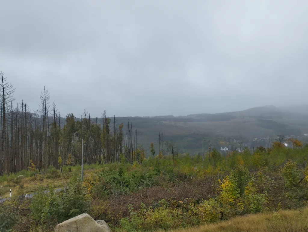 Bahnhof Schierke - Brockenbahn