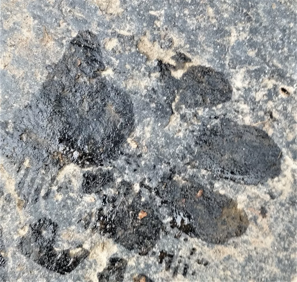 Radau-Wasserfall - Emma's Pfote