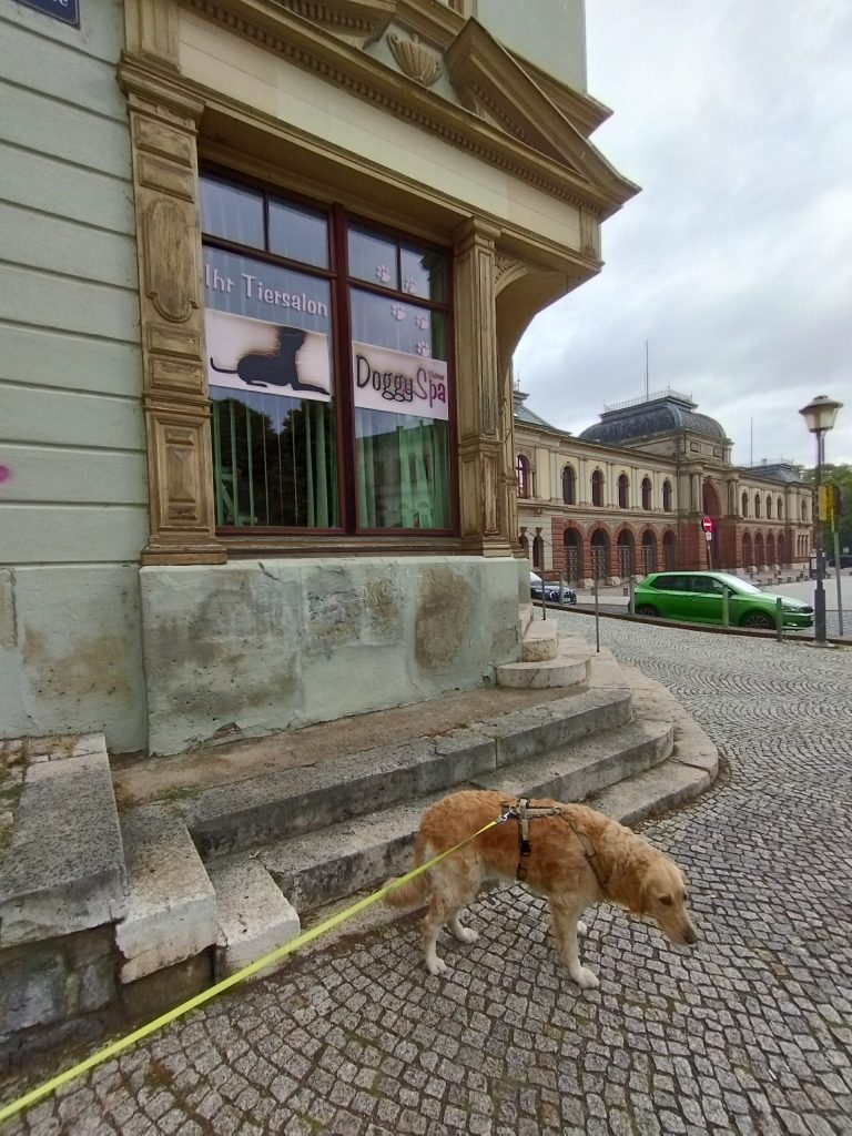 Doggy Spa Weimar