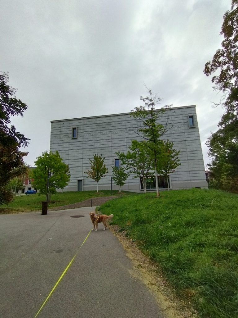 Bauhaus-Museum Weimar