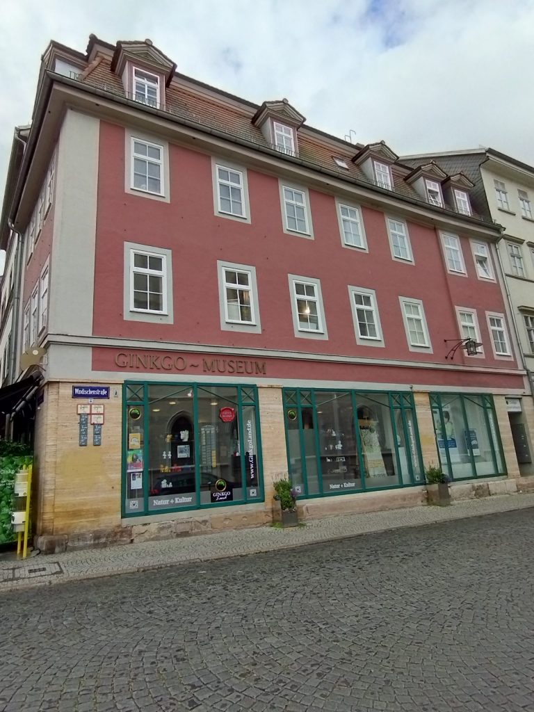 Ginkgo-Museum