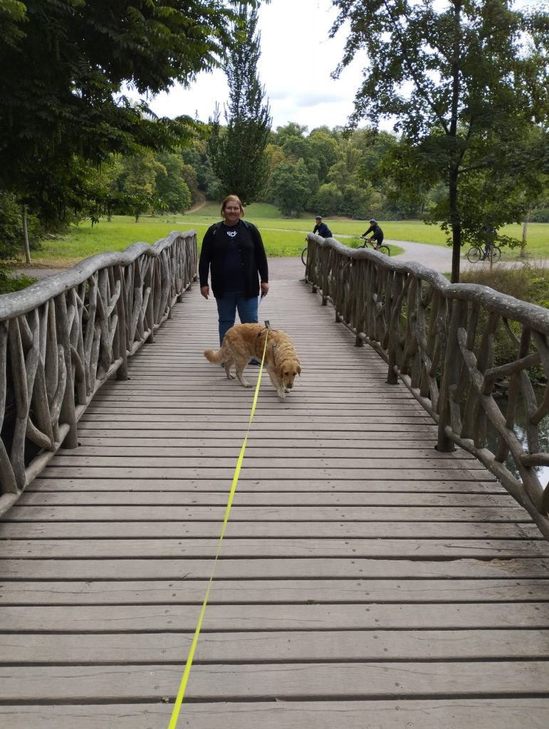 Park an der Ilm - Naturbrücke - Weimar
