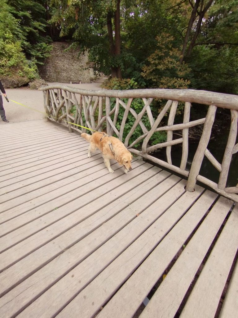 Park an der Ilm - Naturbrücke - Weimar