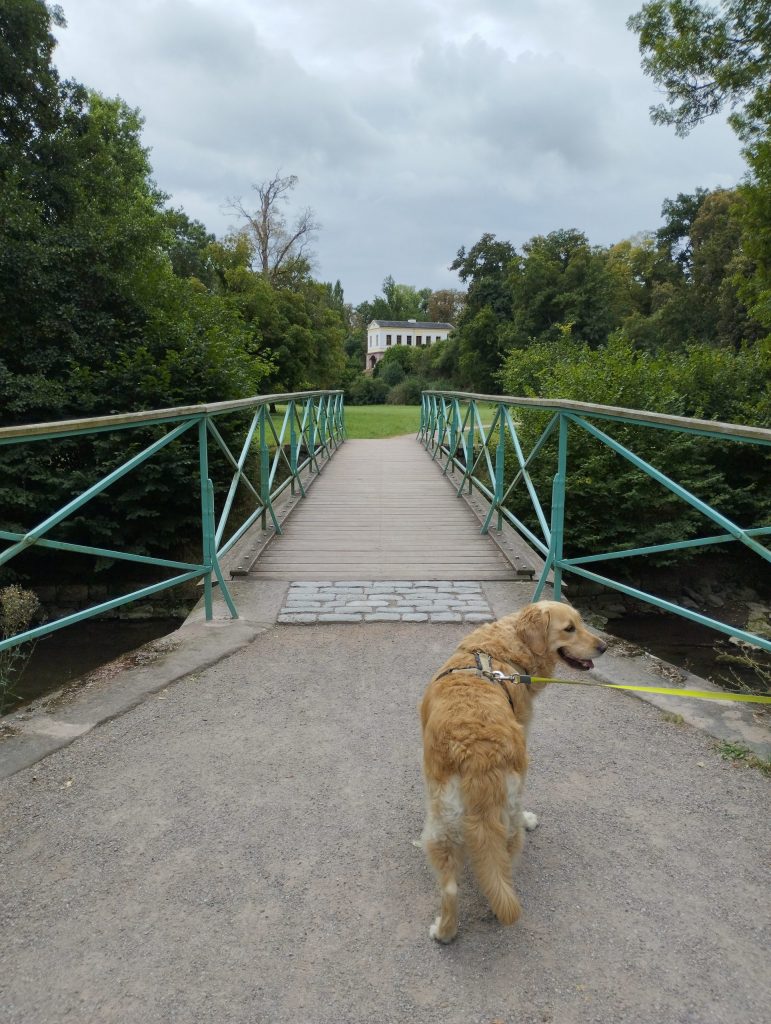Park an der Ilm - Dux-Brücke - Weimar