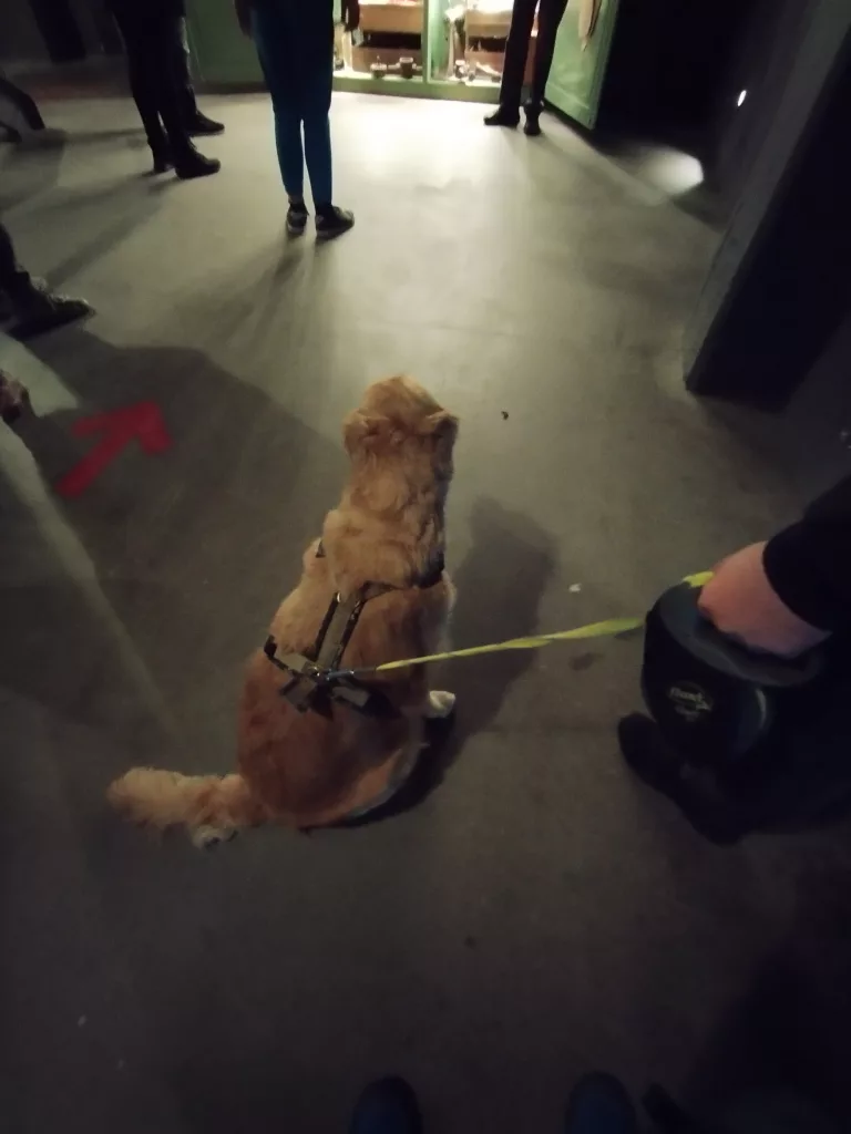 Glasmanufaktur Harzkristall