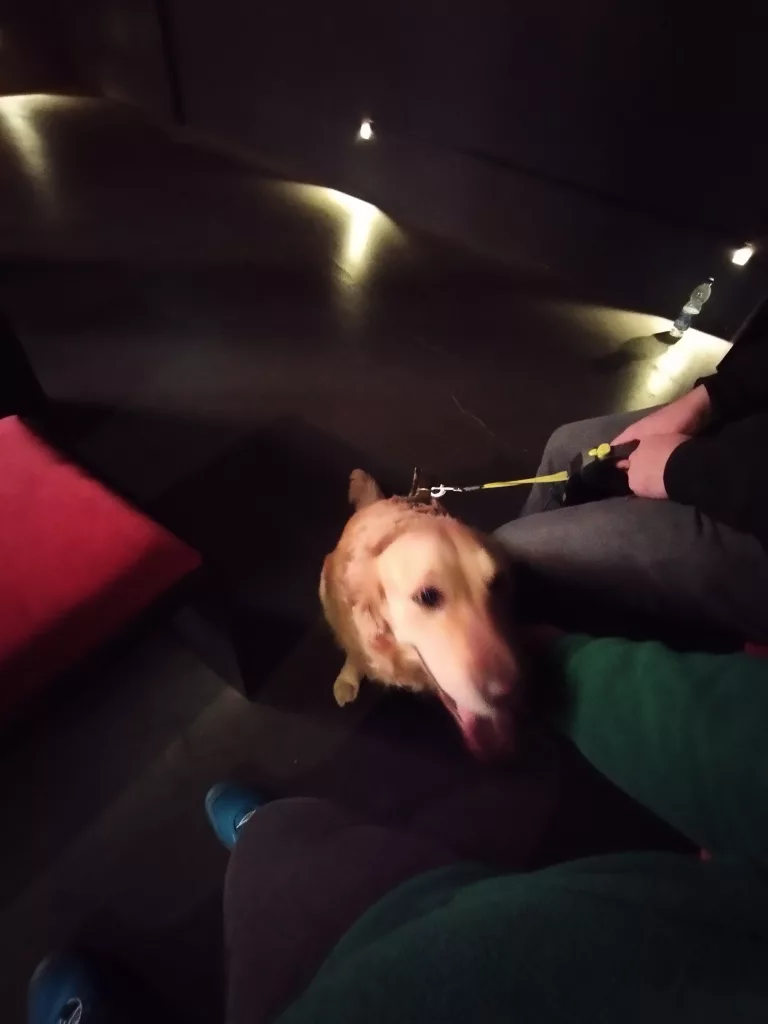 Glasmanufaktur Harzkristall