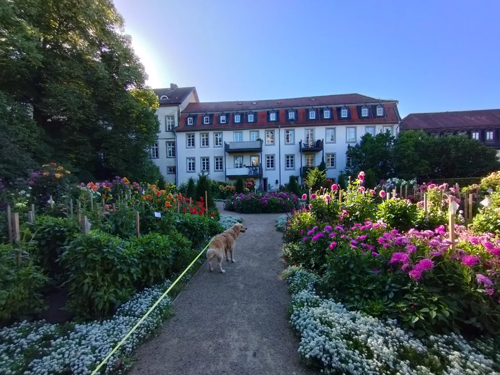 Dahliengarten Fulda