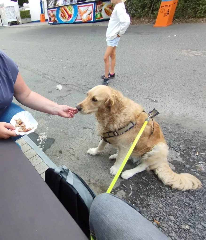 Schützen- und Volksfest Fulda