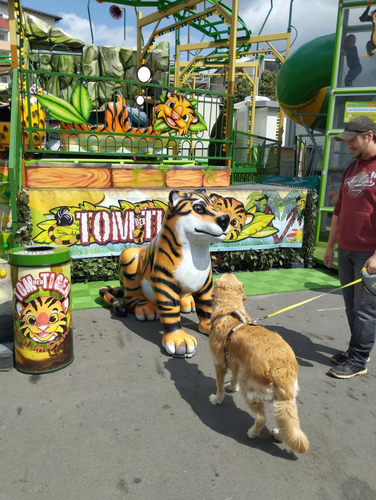 Schützen- und Volksfest Fulda