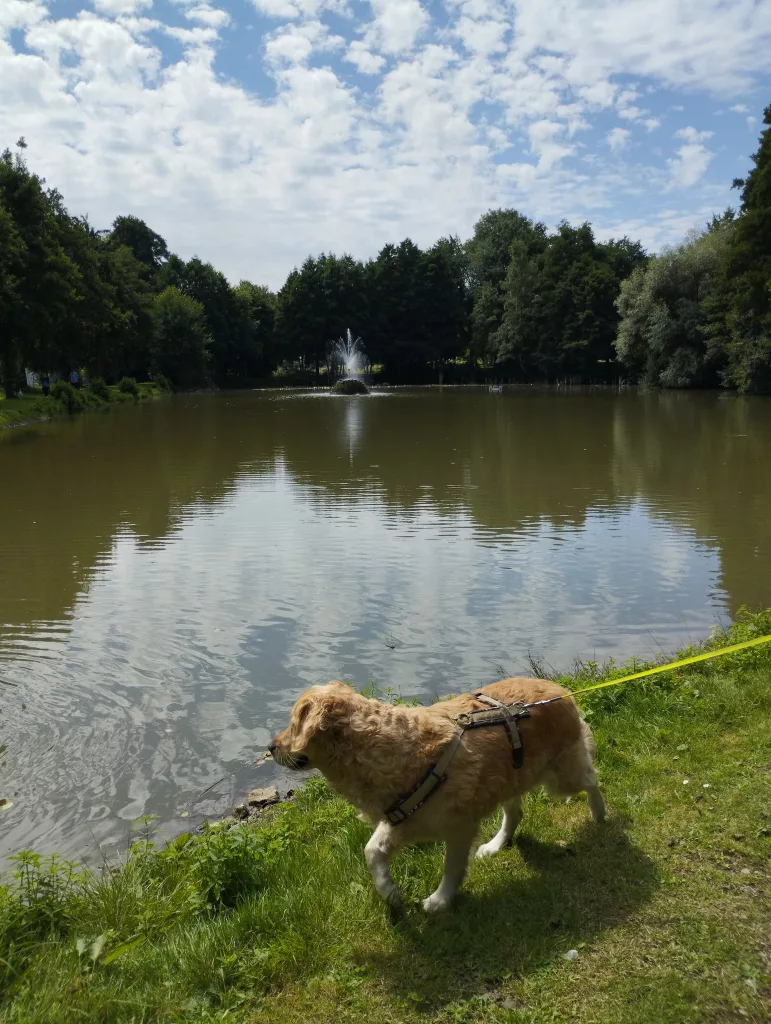 Freizeitanlage am Weiher Burghaun