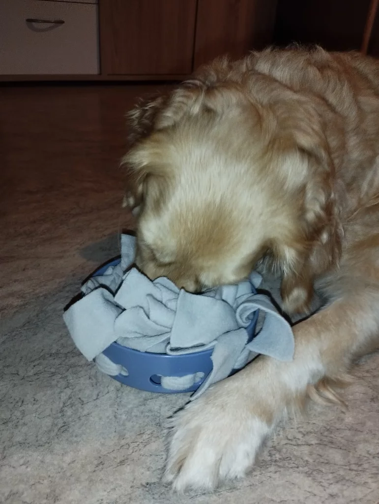 Trixie Hide’n’Sniff Bowl