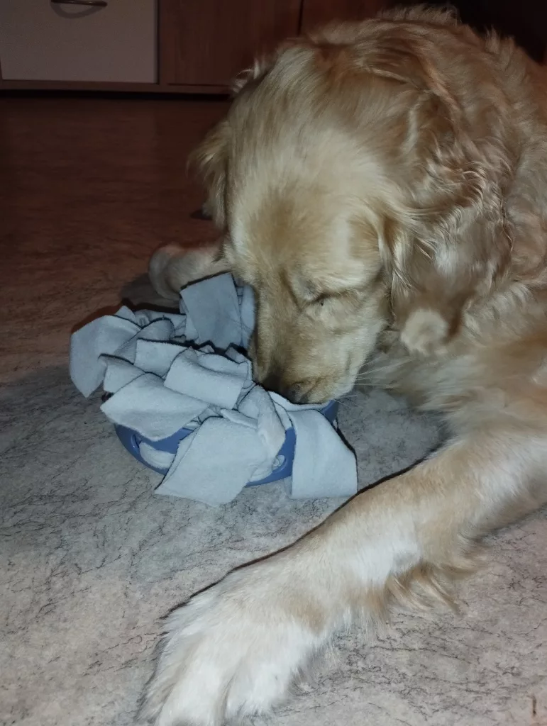 Trixie Hide’n’Sniff Bowl