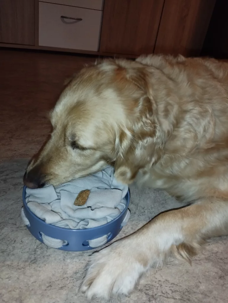 Trixie Hide’n’Sniff Bowl