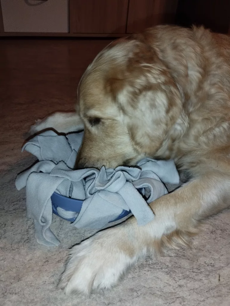 Trixie Hide’n’Sniff Bowl