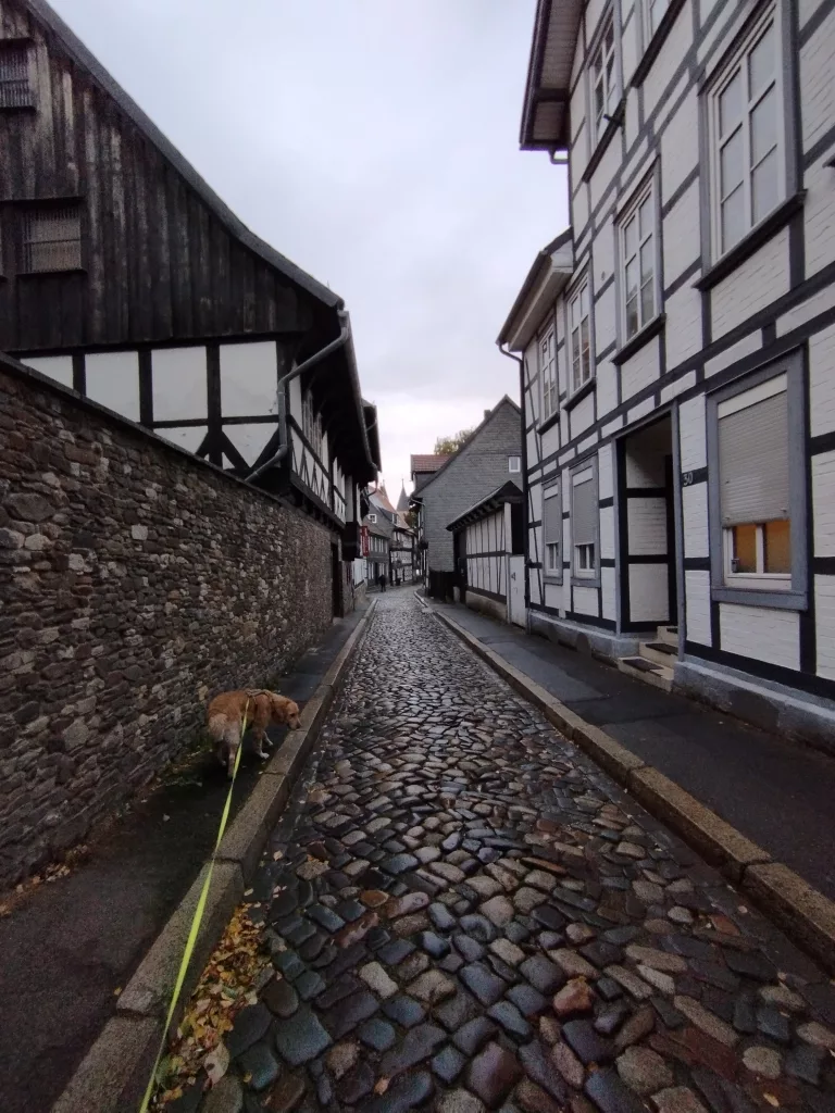 Mönchehaus Museum Goslar
