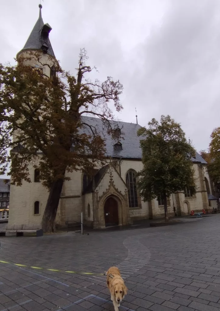 St. Jakobus der Ältere oder auch St. Jakobi, Goslar