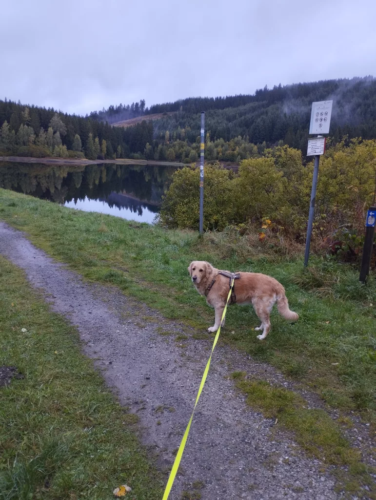 Großer Kellerhals Teich