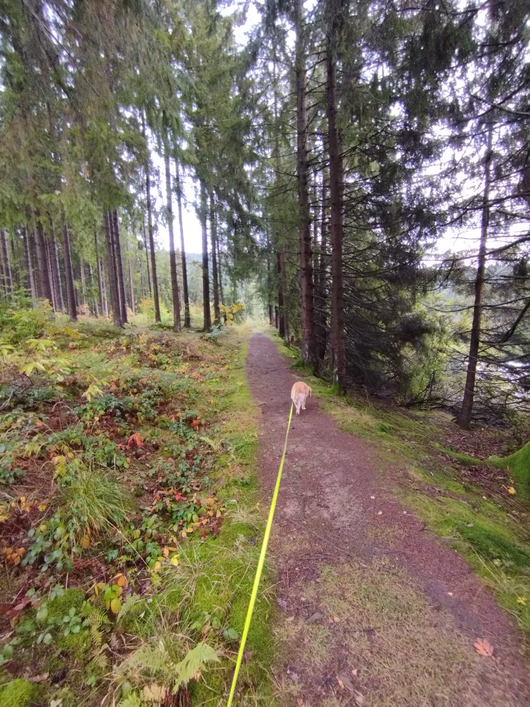 Großer Kellerhals Teich
