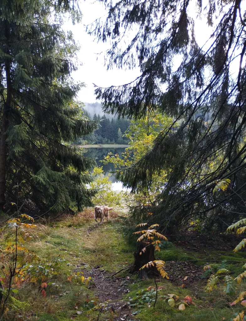 Großer Kellerhals Teich