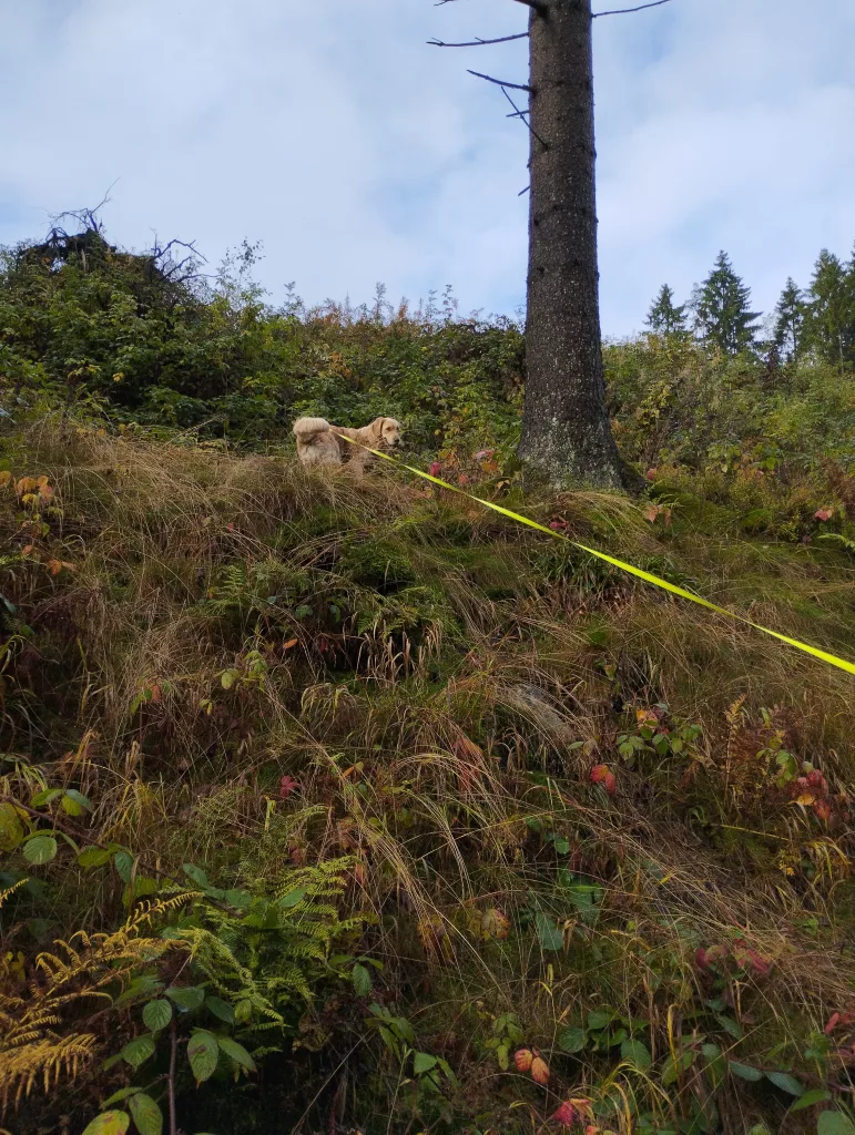 Großer Kellerhals Teich