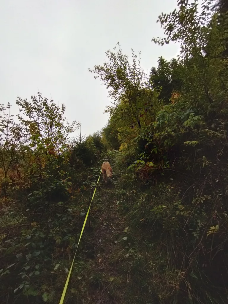 Großer Kellerhals Teich