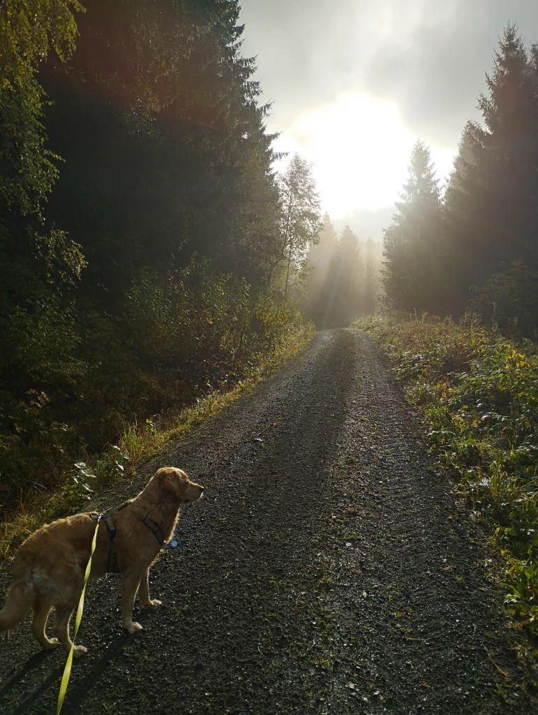 Großer Kellerhals Teich