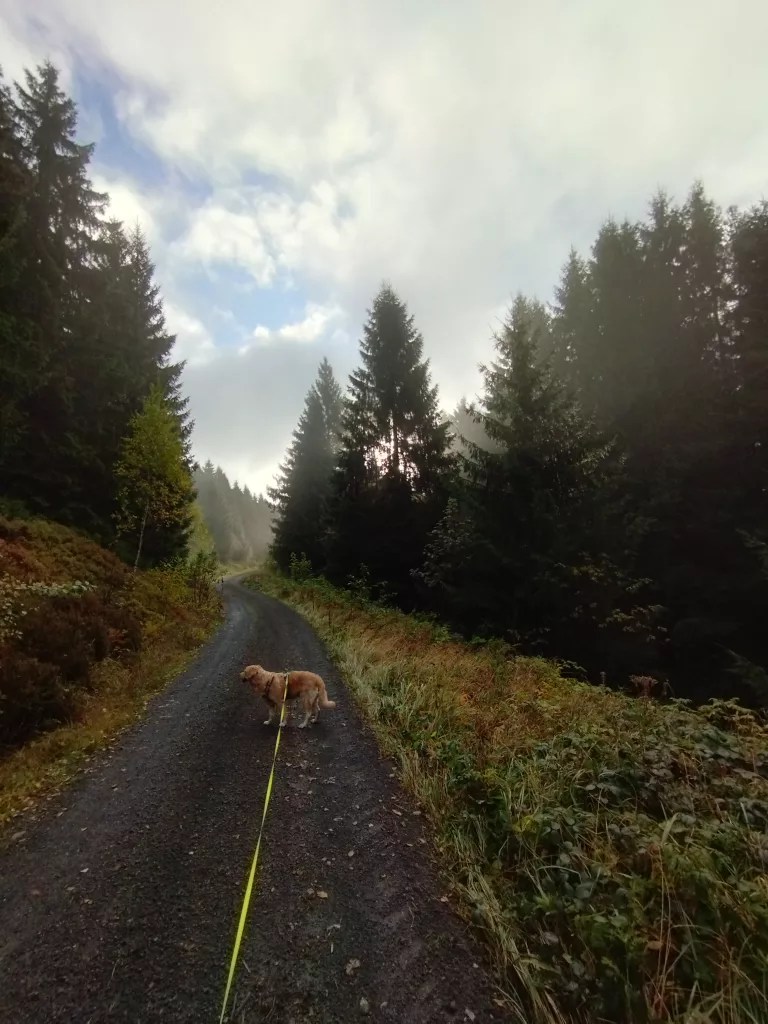 Großer Kellerhals Teich