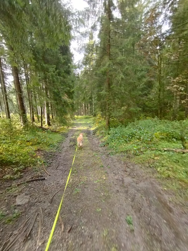 Großer Kellerhals Teich