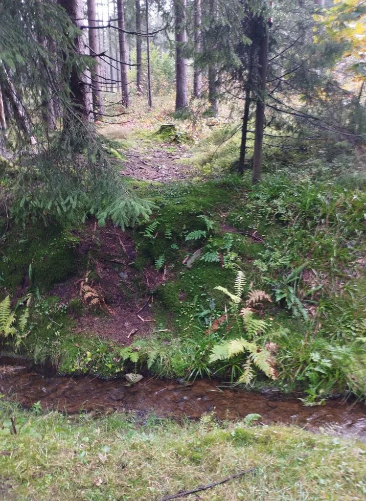 Großer Kellerhals Teich