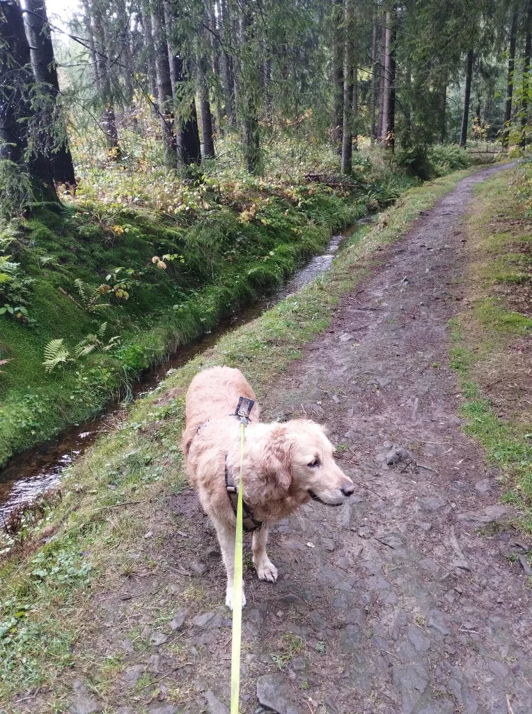 Großer Kellerhals Teich