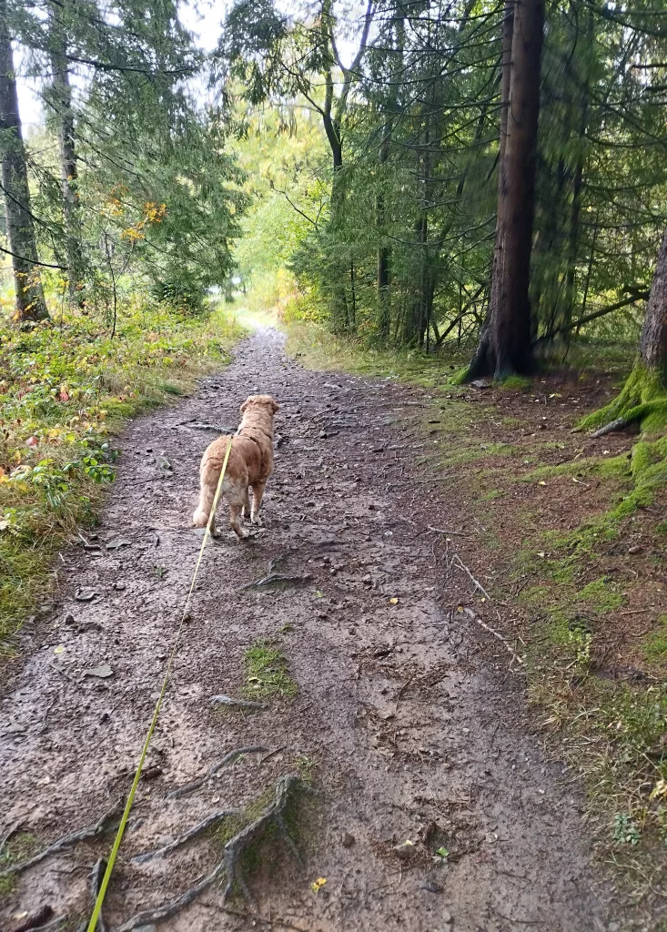 Großer Kellerhals Teich