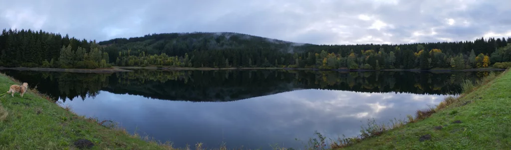 Großer Kellerhals Teich