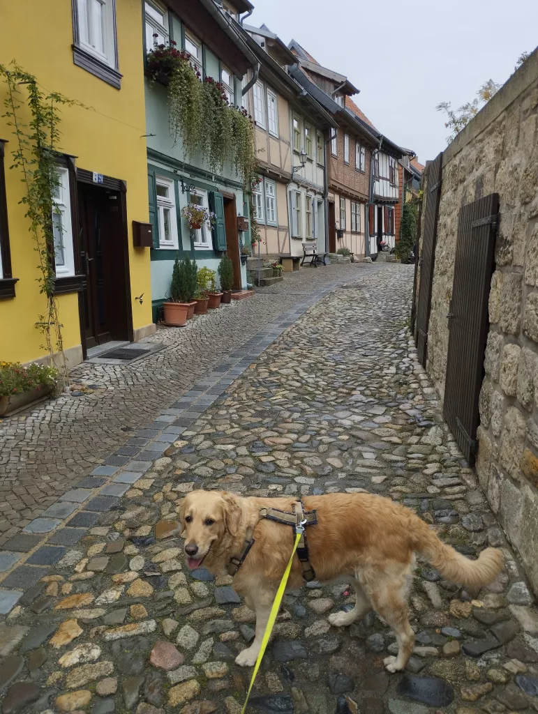 Stiftsberg Quedlinburg