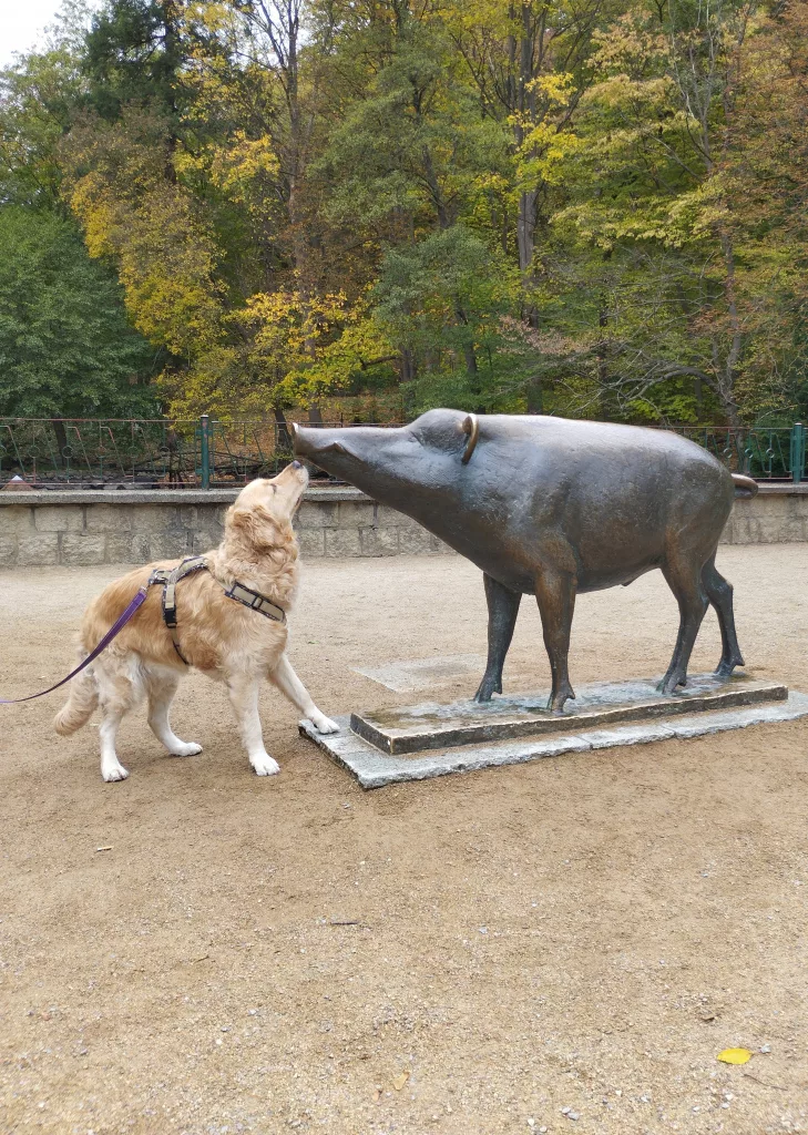 Wildpark Christianental