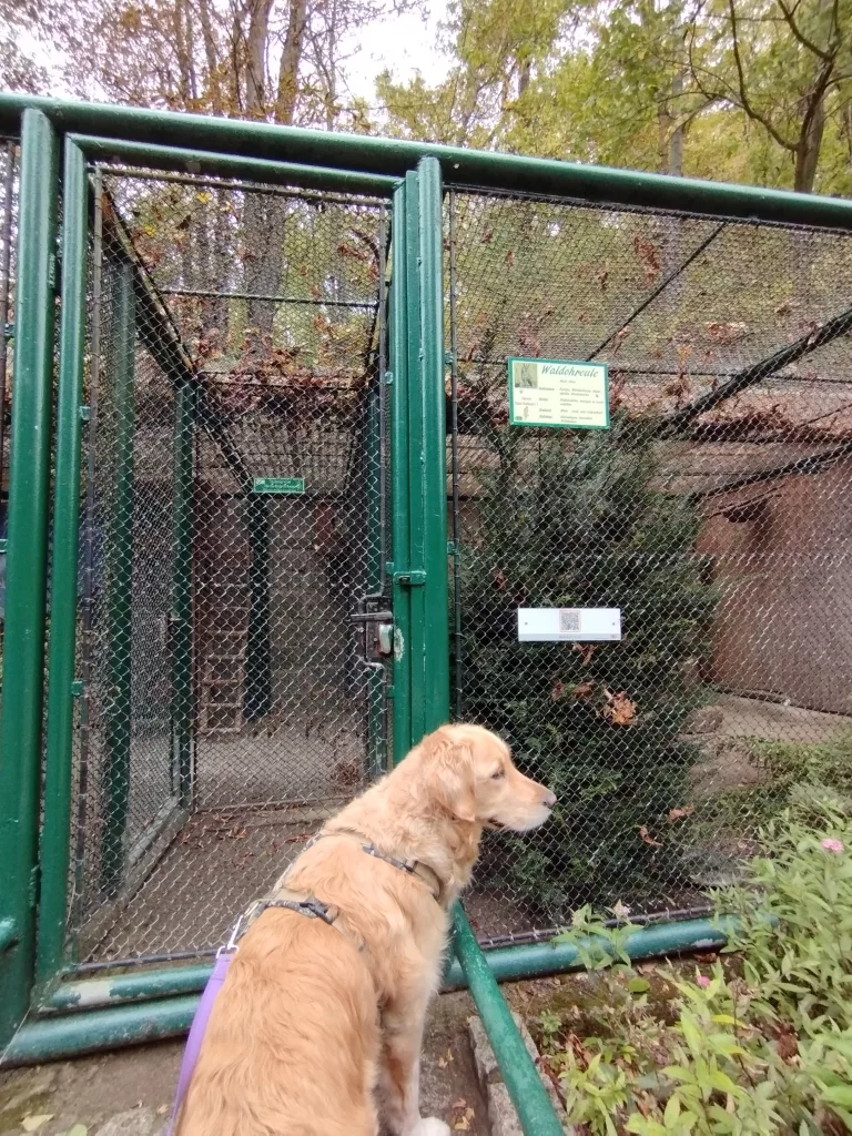 Wildpark Christianental