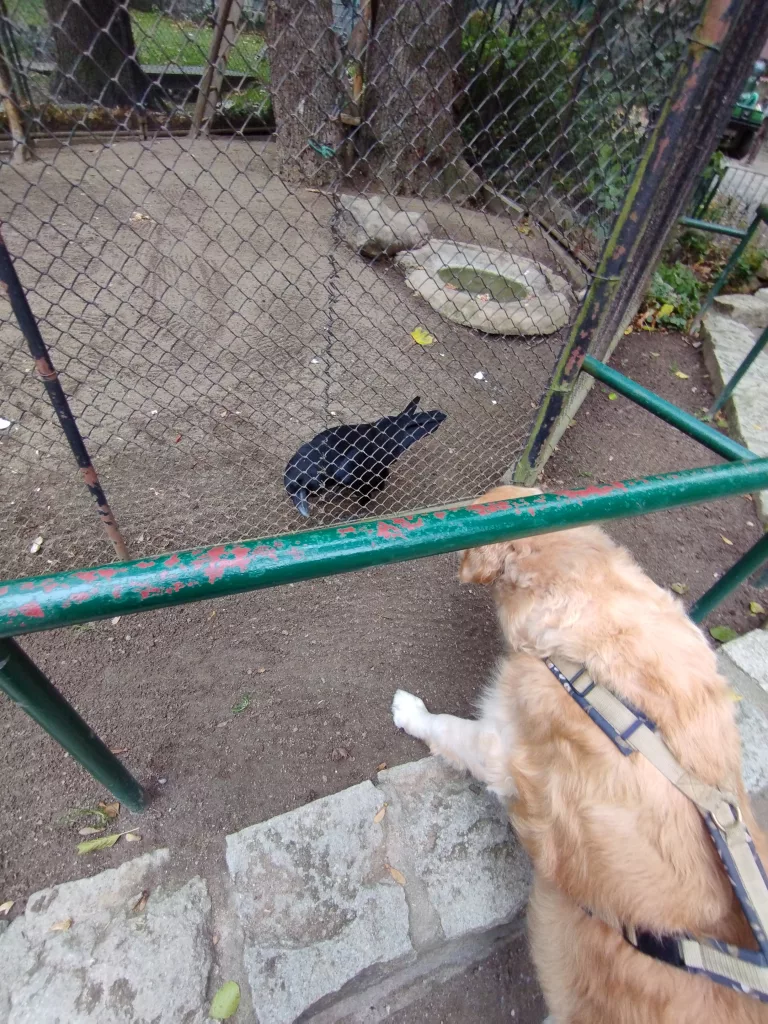 Wildpark Christianental