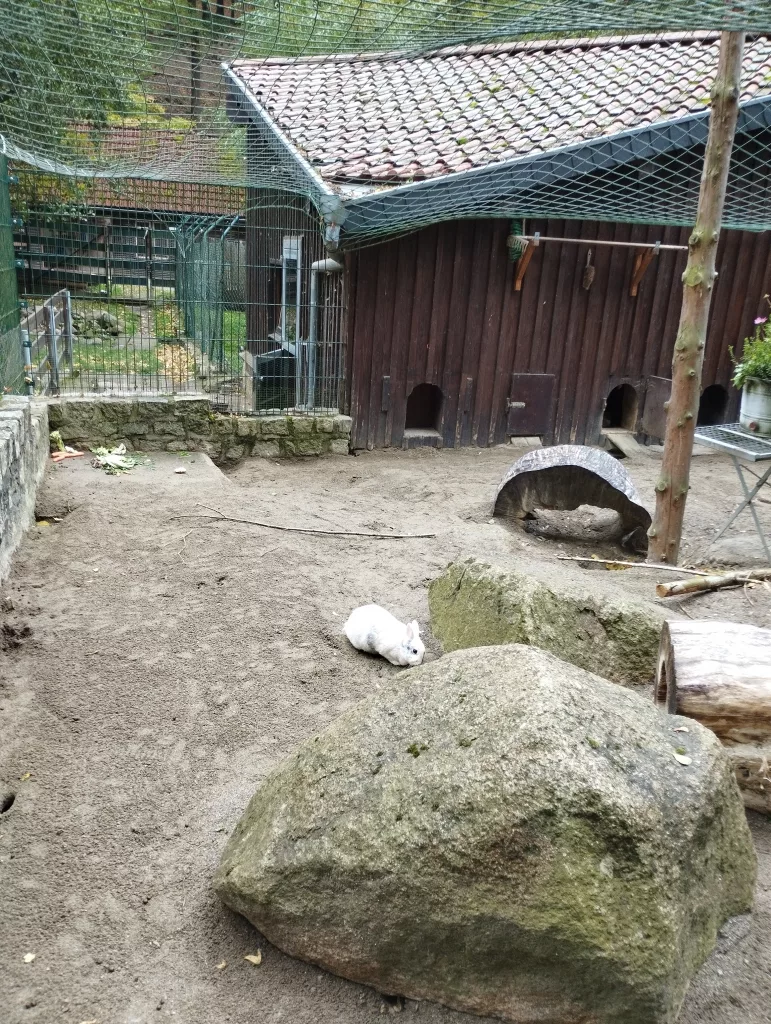 Wildpark Christianental