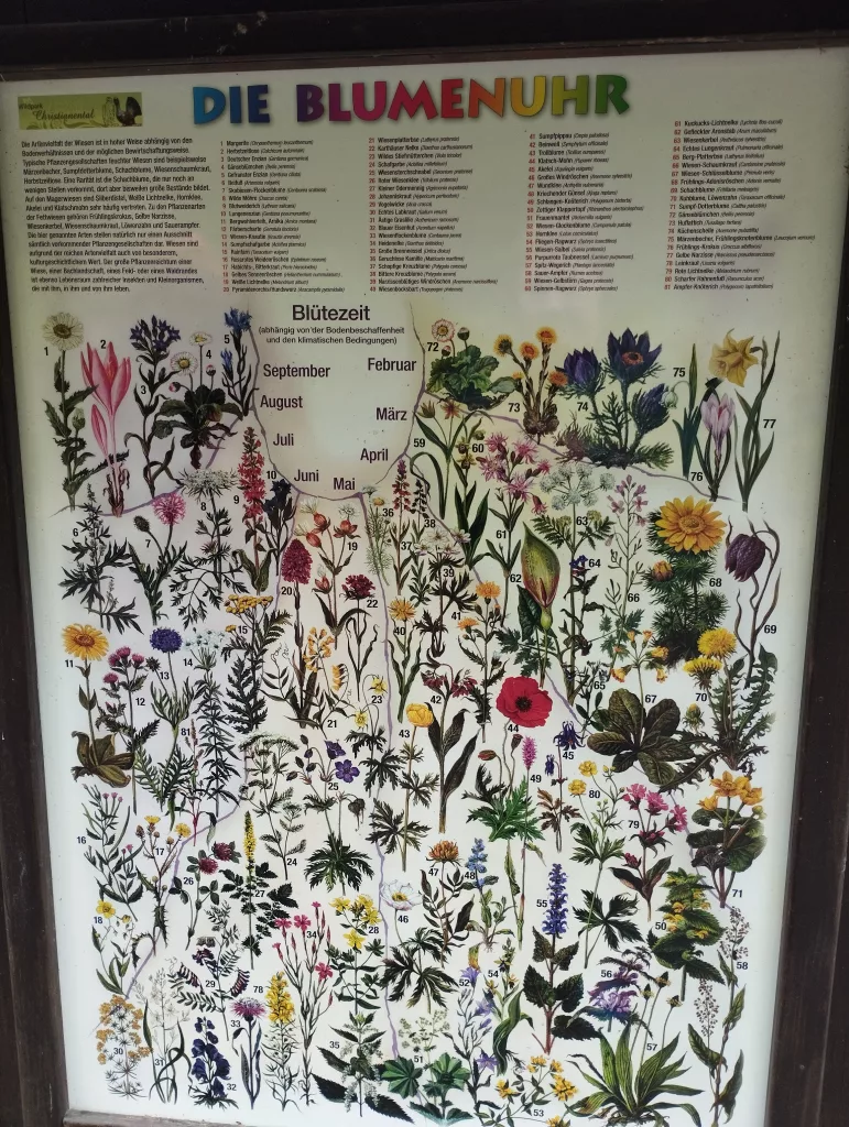 Wildpark Christianental